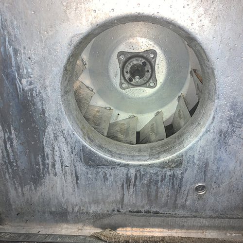 Clean kitchen equipment interior